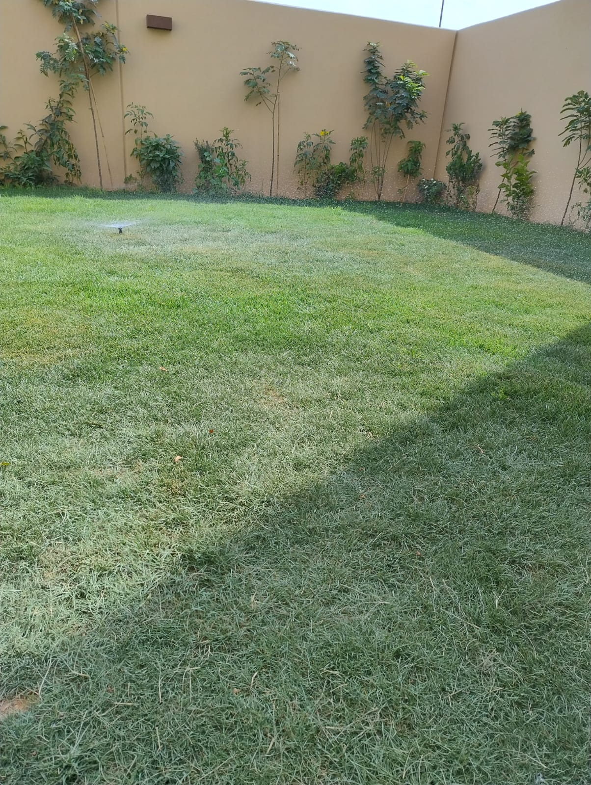🏡 *Modern Townhouse for Rent in Sedra (Roshn) – Stylish & Family-Friendly* 👨👩👧👦